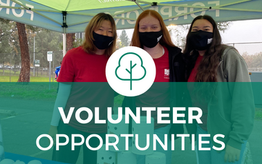 VOLUNTEER OPPORTUNITIES - photo of three FOYAB volunteers standing under tent