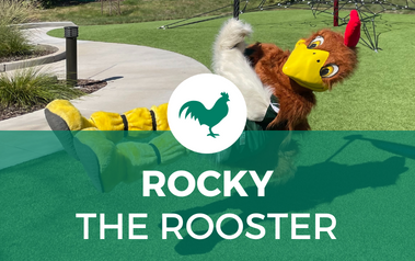 Rocky the Rooster - image of rooster mascot swinging at a park