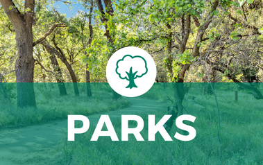 Parks - image of trees and walkpath