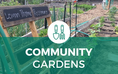 Community Gardens - image of garden plot with plants